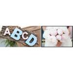 bfd5e9397506541bc6189a49a32df913