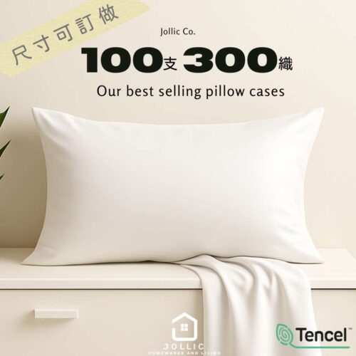 頂級100支 • 天絲枕頭套