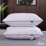 c5bb9d92d63373908cd3f1d1b362104a