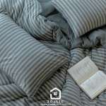 天竺棉灰色條紋床包組 柔軟親膚寢具 主圖