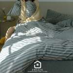 天竺棉灰色條紋床包組 柔軟親膚寢具 主圖