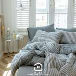 天竺棉灰色條紋床包組 柔軟親膚寢具 主圖