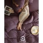 e355845ca8cea16641c5de1fc864ce5a